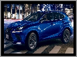 Cool & Bright, Lexus NX F Sport, Wersja