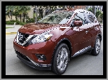 Nissan Murano, Droga