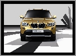 BMW X1, Atrapa