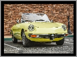 Zabytkowy, Alfa, Romeo